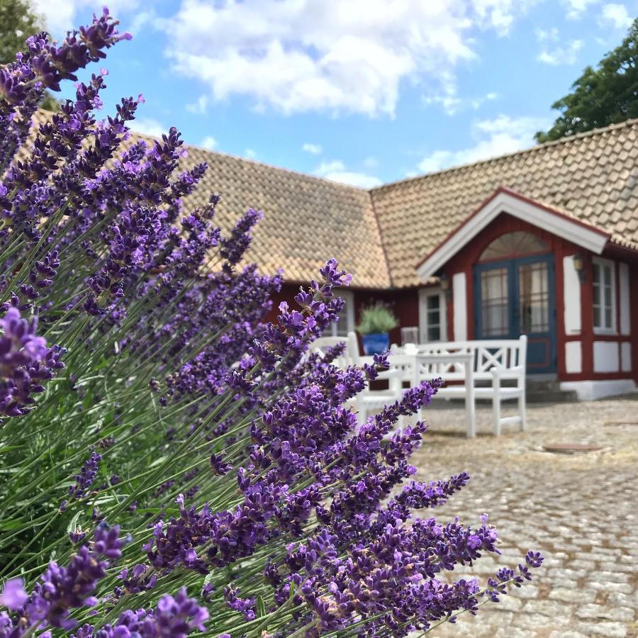 Soeder Countryhouse & Kitchen Båstad المظهر الخارجي الصورة
